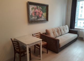 Сдаю в аренду квартиру студию, 25 м2, Люберцы, улица Юности, 13к1