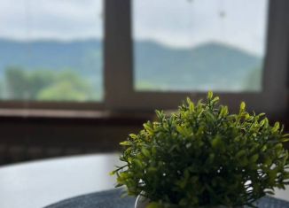 Сдам в аренду дом, 41 м2, село Артыбаш, Подгорная улица