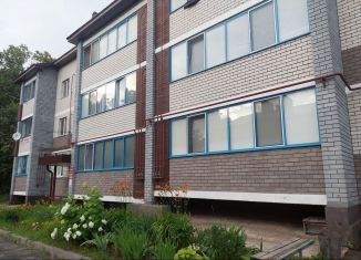 2-ком. квартира на продажу, 50.7 м2, посёлок железнодорожной станции Высокая Гора, улица Сагдиева, 1