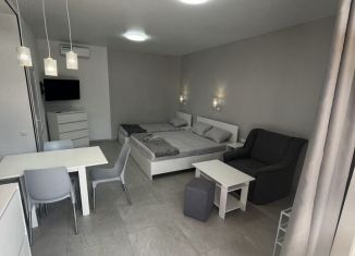 Сдам в аренду квартиру студию, 29 м2, поселок городского типа Заозерное, Камышовая улица, 21