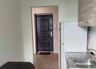 Сдается в аренду однокомнатная квартира, 27 м2, посёлок Голубево, Лазурная улица, 2