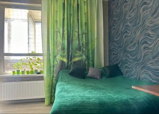 Продажа квартиры студии, 23.3 м2, городской посёлок Новоселье, Центральная улица, 10к1, ЖК Эпсилон