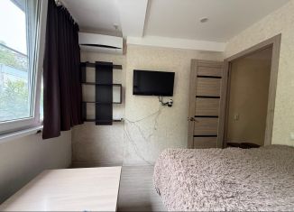 Продается 1-ком. квартира, 15 м2, Сочи, Пасечная улица, 41, микрорайон Донская