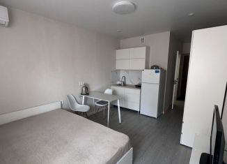 Продаю квартиру студию, 22 м2, Краснодар, улица Евгении Жигуленко, 7к1, ЖК Радуга