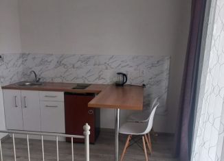 Продается квартира студия, 26 м2, посёлок Западный, улица имени Ефрейтора Потехина, 5