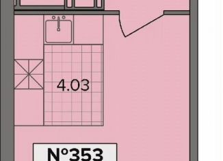 Продается квартира студия, 25.8 м2, деревня Новое Девяткино, Лесная улица, 19