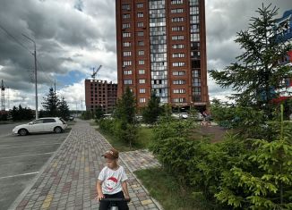 Продажа квартиры со свободной планировкой, 64.5 м2, деревня Кисловка, улица Марины Цветаевой, 38