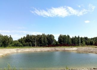 Земельный участок на продажу, 6 сот., деревня Решетникова, Салаирский тракт, 14-й километр