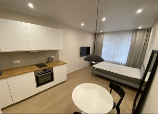 Сдаю квартиру студию, 25 м2, Екатеринбург, улица Шаумяна, 20, метро Геологическая