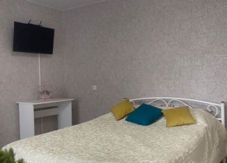 Сдача в аренду 1-комнатной квартиры, 40 м2, Тверь, Озёрная улица, 19