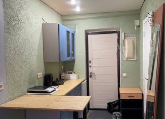 Сдаю в аренду квартиру студию, 18.5 м2, Тюмень, улица Энергетиков, 60А, Ленинский округ