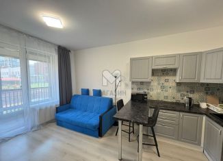 Продажа квартиры студии, 24.2 м2, Санкт-Петербург, Железнодорожный проспект, 14к3, метро Пролетарская