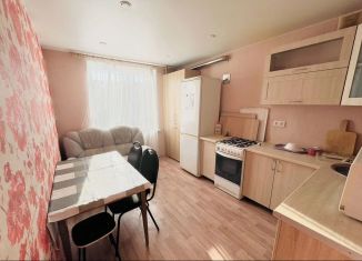 Однокомнатная квартира в аренду, 36 м2, поселок городского типа Стройкерамика, улица Митрополита Иоанна Снычёва, 10