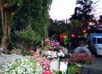 Сдача в аренду дома, 60 м2, Сочи, улица Дмитриевой, 12/28