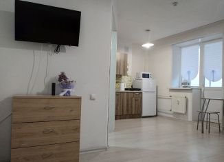 Сдам в аренду квартиру студию, 28.7 м2, Ярославль, Спасская улица, 2