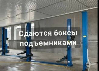 Помещение свободного назначения в аренду, 550 м2, Грозный, Петропавловское шоссе, 94