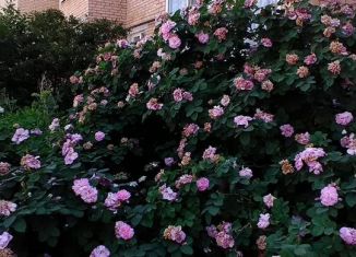 2-комнатная квартира на продажу, 49 м2, Вязьма, улица Просвещения, 7