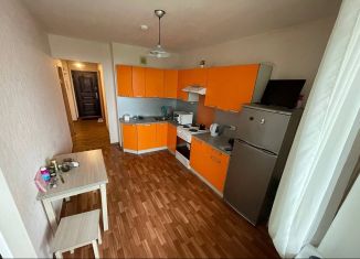 Сдача в аренду однокомнатной квартиры, 39 м2, Санкт-Петербург, улица Маршала Тухачевского, 25, улица Маршала Тухачевского