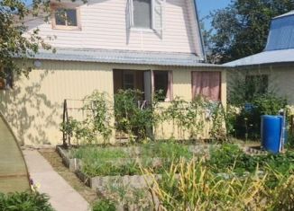 Продаю дачу, 40 м2, СНТ Дружба, СНТ Дружба, 233