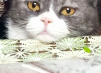 Продается гараж, 20 м2, Валуйки, улица Щорса, 6а/31А