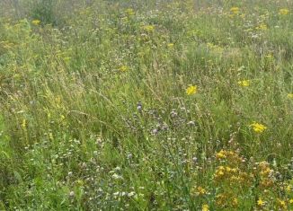 Продаю участок, 9 сот., деревня Лудорвай, Берёзовая улица, 11