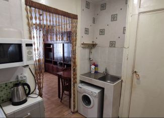 Однокомнатная квартира на продажу, 24.7 м2, Новосибирская область, улица Зорге, 44