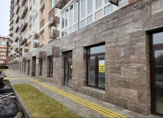 Продаю помещение свободного назначения, 47.3 м2, Краснодар, Московская улица, 112А, Музыкальный микрорайон