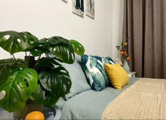 Сдается квартира студия, 30 м2, Санкт-Петербург, 5-й Предпортовый проезд, 2, 5-й Предпортовый проезд