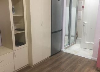 Сдам квартиру студию, 26.2 м2, Москва, Берёзовая аллея, 17к1, ЖК Грин Парк