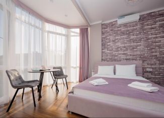 Продается квартира студия, 23 м2, Сочи, Виноградная улица, 216А, микрорайон Мамайка