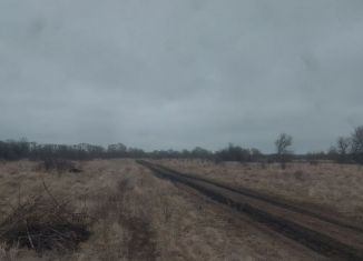 Продам земельный участок, 10 сот., деревня Зорино