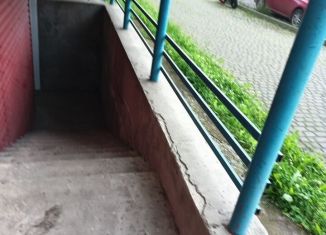 Продажа помещения свободного назначения, 24 м2, Республика Алтай, улица Берёзовая Роща, 9к1