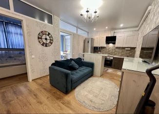 Аренда 3-ком. квартиры, 45 м2, Сочи, Рабочий переулок, 24