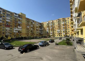 Продам однокомнатную квартиру, 33.5 м2, посёлок Шушары, территория Ленсоветовский, 23, ЖК Добрыня