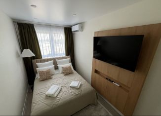 Сдача в аренду 1-ком. квартиры, 31.5 м2, Пенза, улица Яшиной