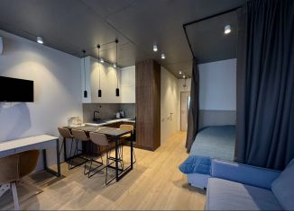 Сдача в аренду квартиры студии, 29 м2, Сочи, Курортный проспект, 96Г, микрорайон Приморье