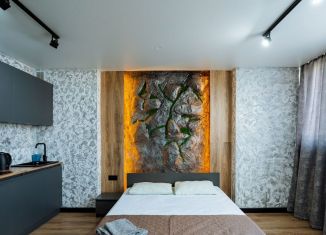 Аренда квартиры студии, 22 м2, Республика Башкортостан, улица Мира, 47