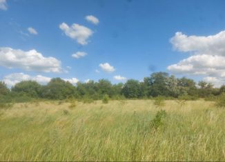 Продам участок, 10 сот., деревня Зорино