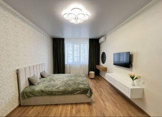 1-ком. квартира в аренду, 39.2 м2, Республика Башкортостан, улица Архитектора Рехмукова, 7