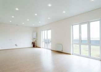 Продаю дом, 88 м2, село Дмитриевка, Юбилейная улица, 1