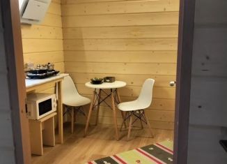 Сдам дом, 14 м2, Санкт-Петербург, Лахтинский проспект, 32