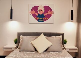 Сдам в аренду квартиру студию, 24 м2, Калужская область, улица 65 лет Победы, 6