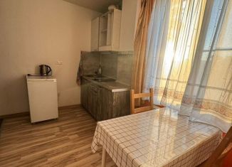 Сдаю в аренду 1-комнатную квартиру, 30 м2, Краснодар, улица Салтыкова-Щедрина, 9, микрорайон Центральный