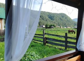 Сдается в аренду дом, 12 м2, село Камлак, Центральная улица, 48