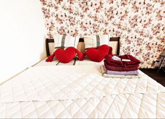 Сдам 1-комнатную квартиру, 45 м2, Новосибирск, Военная улица, 9/2, ЖК Военная Горка