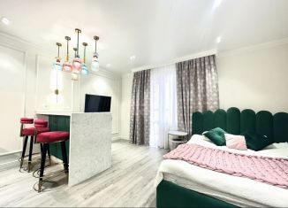 Сдам квартиру студию, 31 м2, Татарстан, улица Николая Ершова, 65Б/2