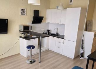 Сдам квартиру студию, 26.2 м2, Сертолово, Тихвинская улица, 8к3