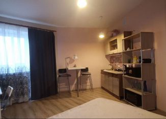 Продаю квартиру студию, 27 м2, деревня Новое Девяткино, Флотская улица, 9, ЖК Подкова