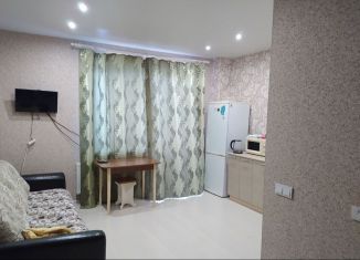 Сдается в аренду квартира студия, 26 м2, Сыктывкар, Октябрьский проспект, 216, район Орбита