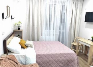 Сдается квартира студия, 22 м2, Краснодар, Восточно-Кругликовская улица, 42/3к2, микрорайон Панорама